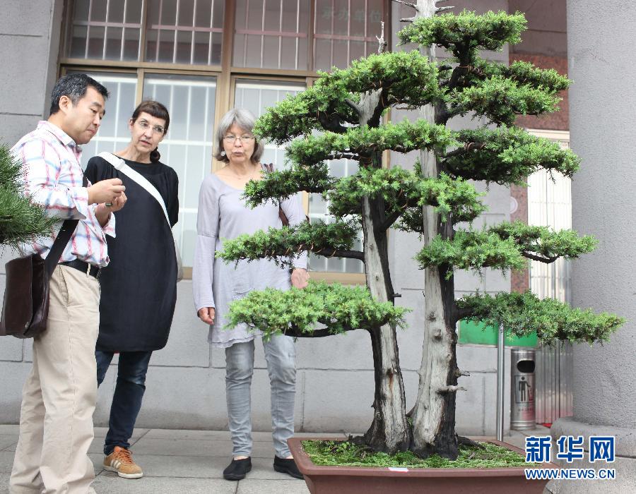 盆景中国2012宝山杯盆景艺术精品展览宜兴开