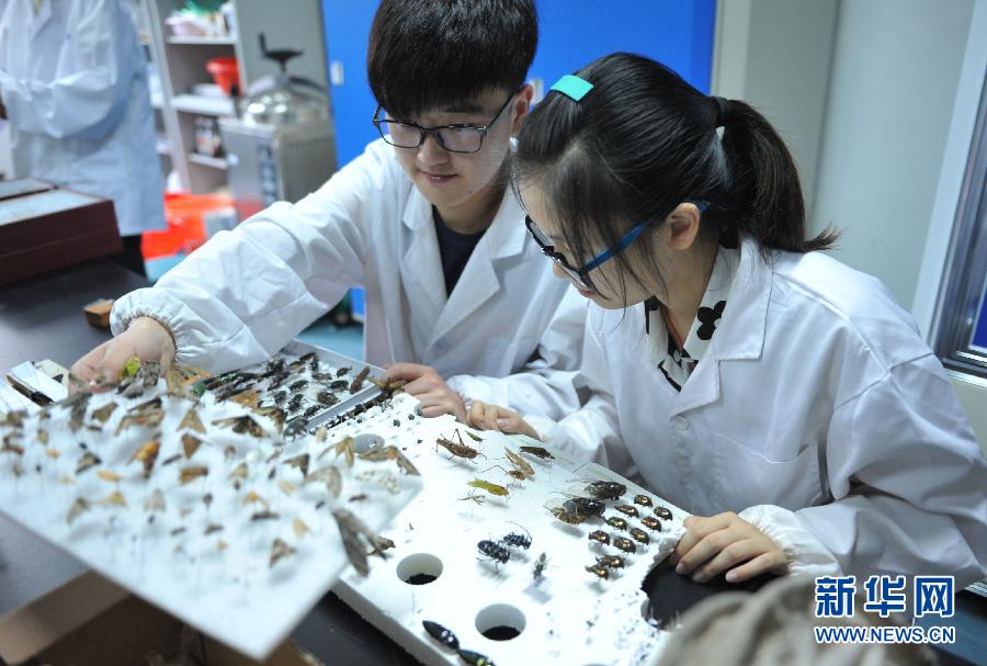 第一届生命科学学院食品创意设计大赛圆满结束