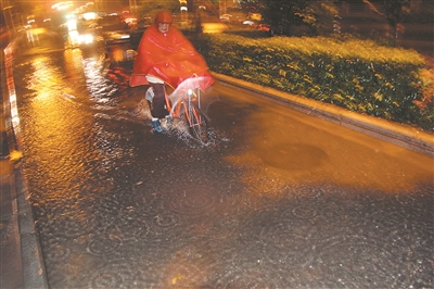 南京金钱豹_南京金钱豹人均(2)