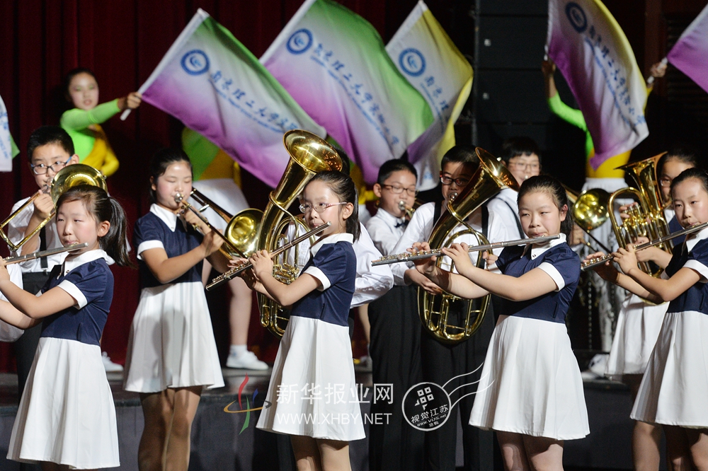 2015年南京市中小学生艺术教育成果汇报