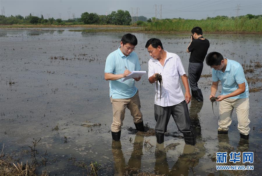 农业保险理赔到现场