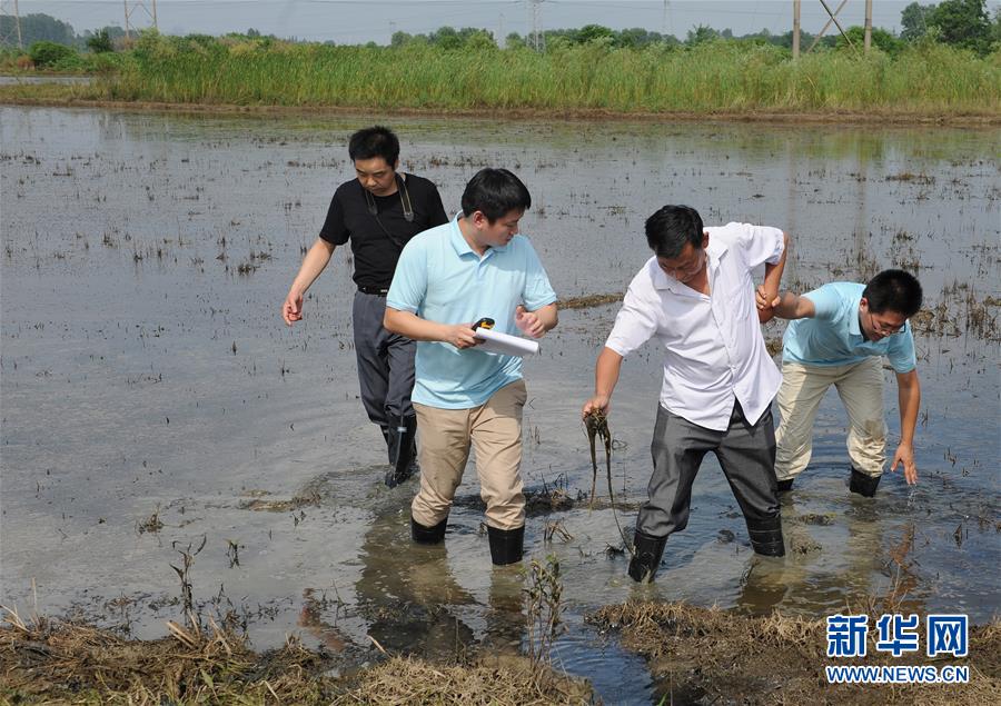 农业保险理赔到现场