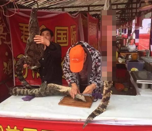 合肥一摊点当街宰杀鳄鱼现烤现卖 老板称是人工养殖暹罗鳄