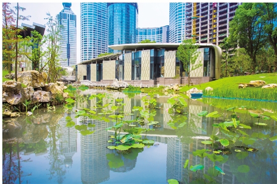 杭州全力打造世界名城水生态环境 让群众更具获得感和幸福感