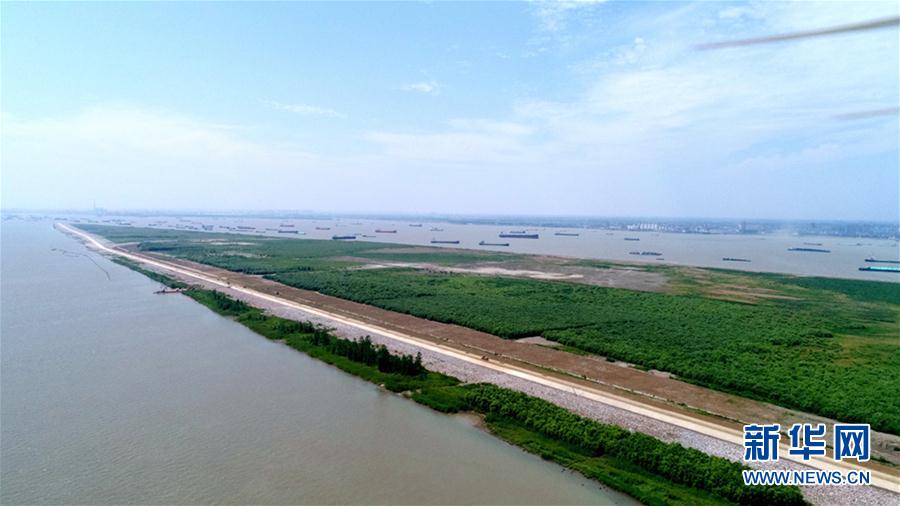 江苏泰兴:生态修复 诗化岸线