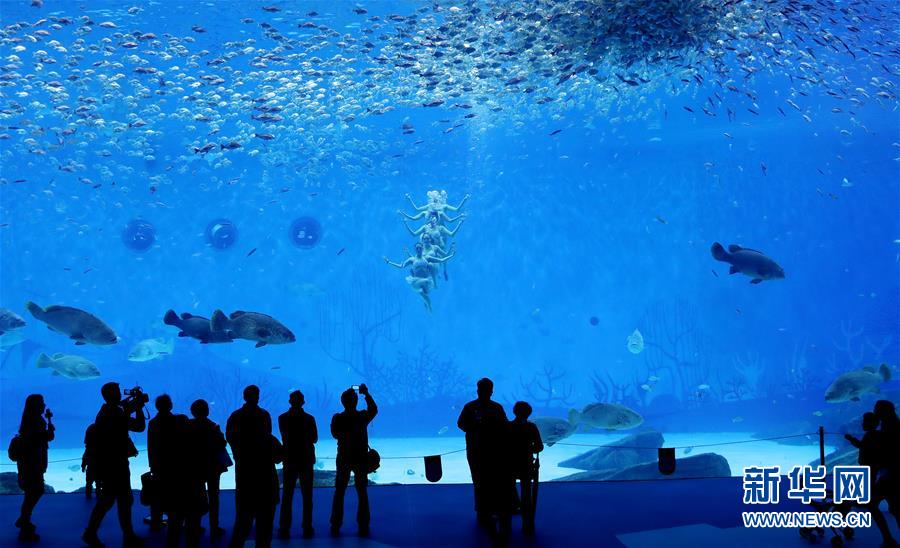 （社會）（1）上海海昌海洋公園開門迎客