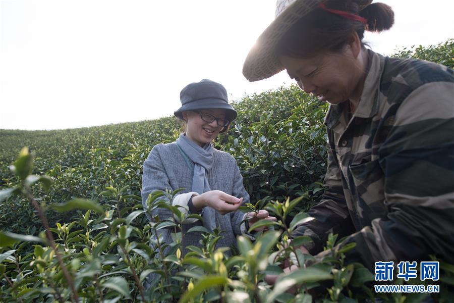 （社会）（1）实践“自然农法”的女茶人