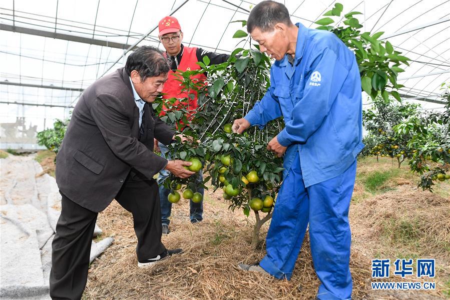 练市镇人口_练市镇镇治朱建强