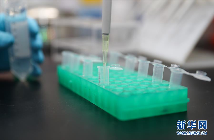 （聚焦疫情防控）（3）上海：新型冠狀病毒mRNA疫苗研發正式立項