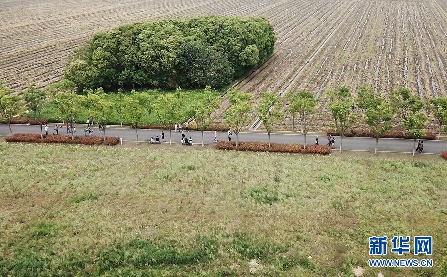 （新華視界）（4）上海：郊野公園遊興濃