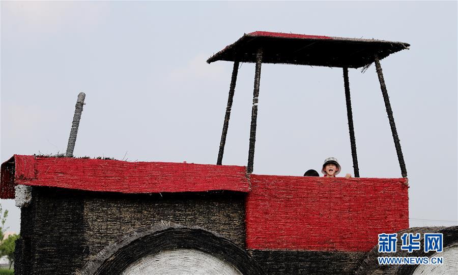 （新華視界）（6）上海：郊野公園遊興濃