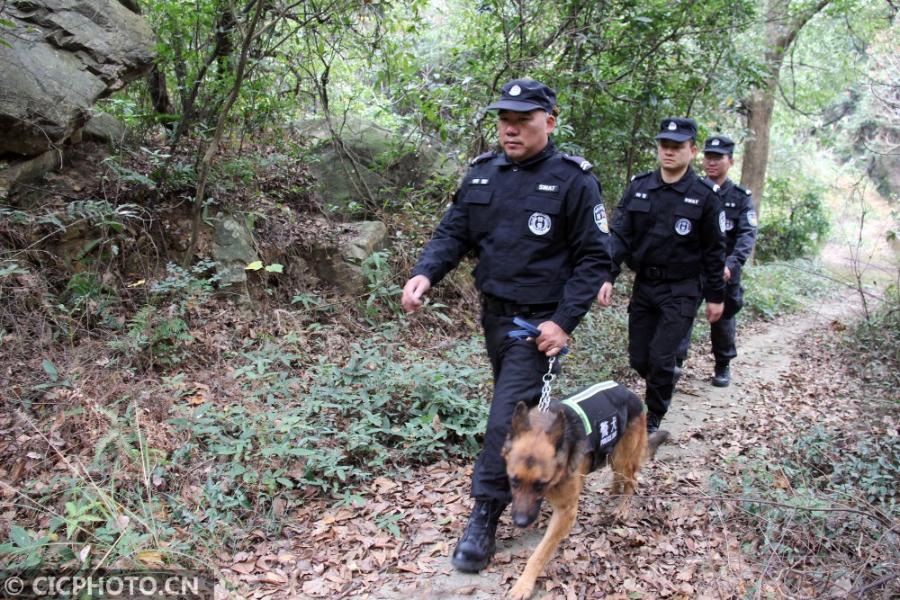 2020年12月16日,浙江省台州市路桥公安分局警犬训练基地,特警对警犬