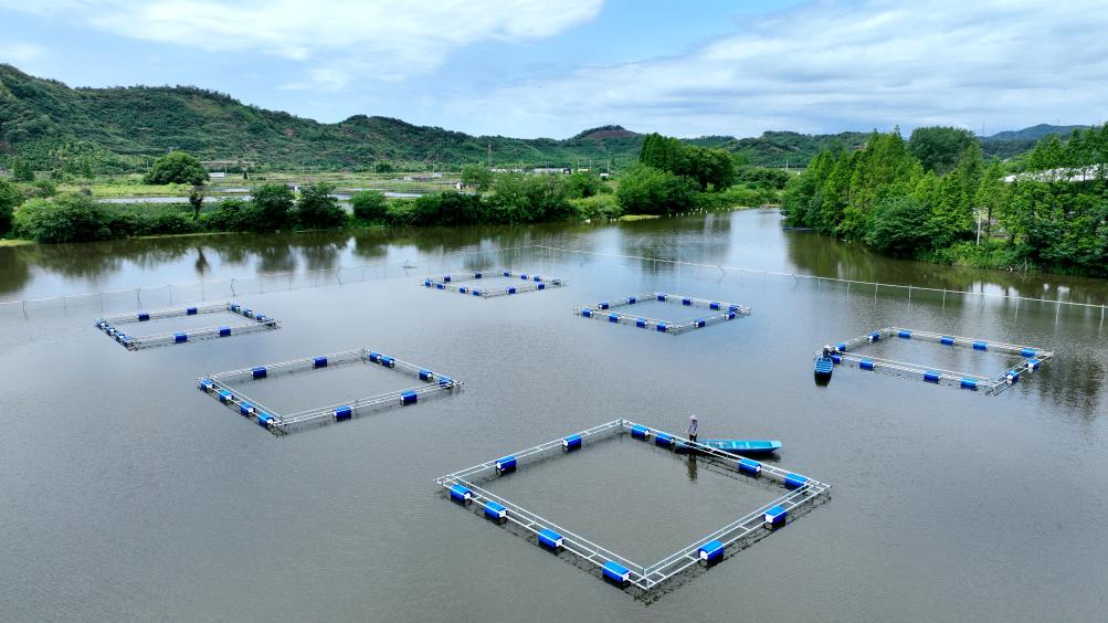 浙江德清淡水珍珠复合养殖系统正式被认定为全球重要农业文化遗产