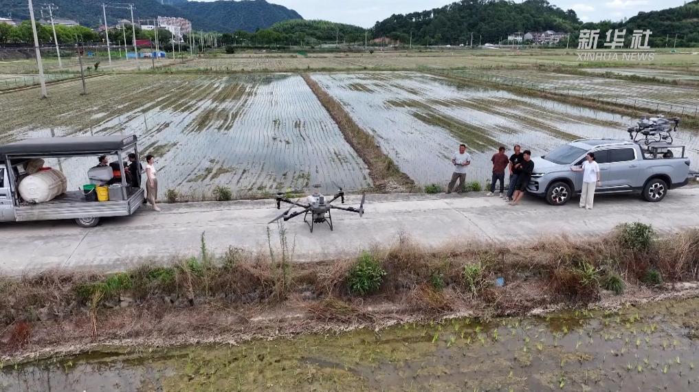 杭州桐庐：农用无人机联盟成立 科技服务直达田间地头