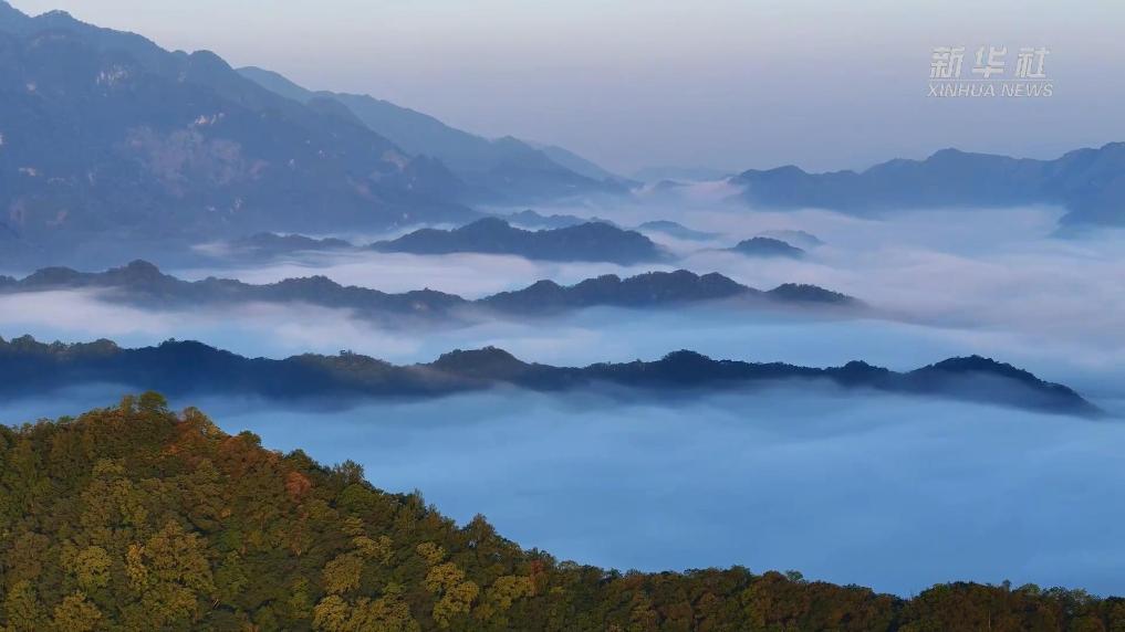 安徽仙寓山：晨雾绕山峦 美如水墨画