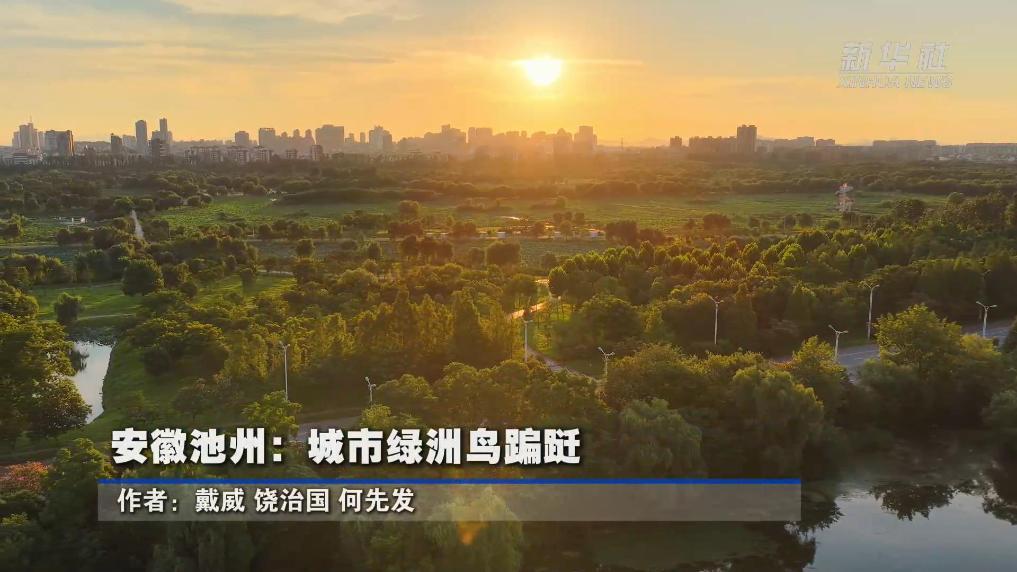 安徽池州：城市绿洲鸟蹁跹