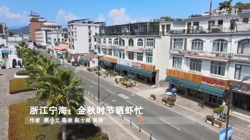 浙江宁海：金秋时节晒虾忙