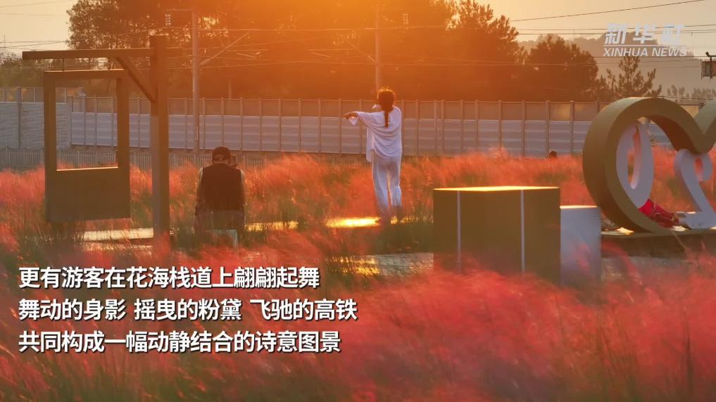 杭州桐庐：高铁花海相映成景
