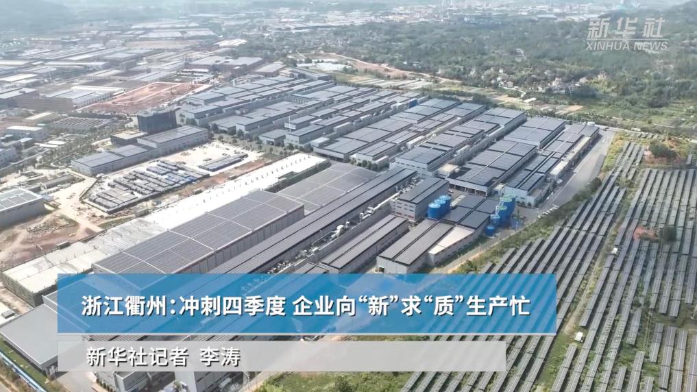 浙江衢州：衝刺四季度 企業向“新”求“質”生産忙