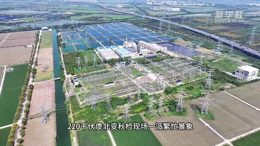 浙江绍兴|抢抓黄金期 秋检正当时