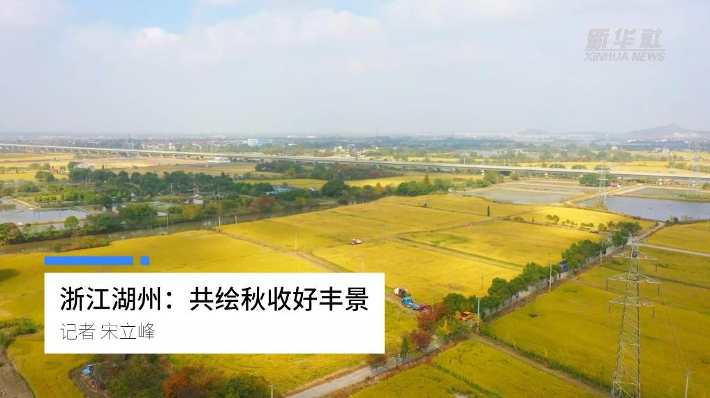 浙江湖州:共绘秋收好丰景