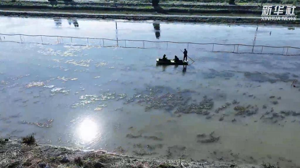 江苏金湖:蟹农刘宇的收获季