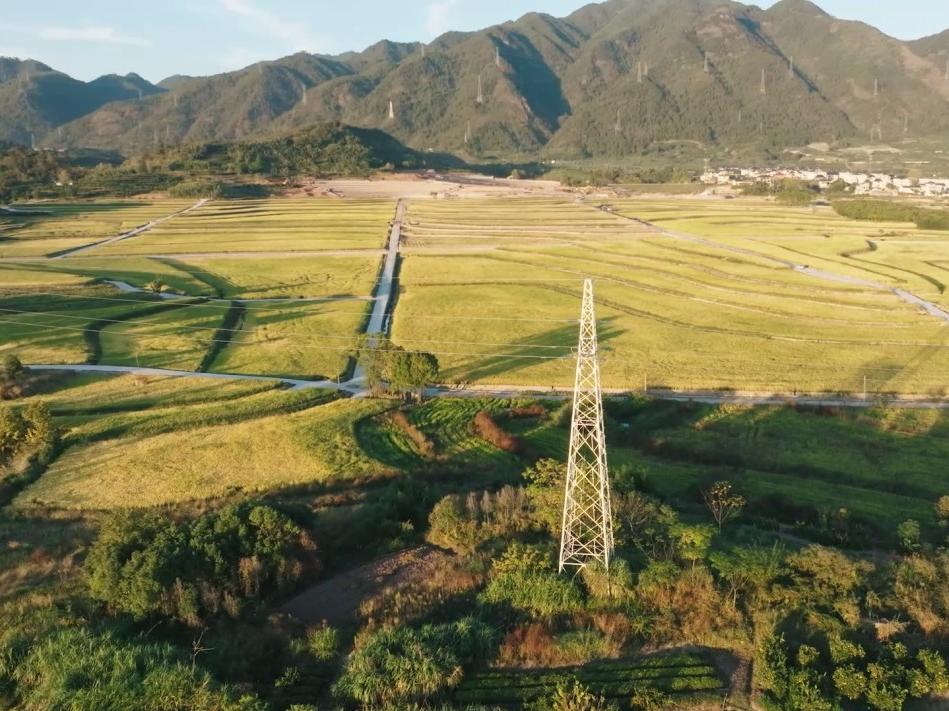 “电力引擎”点亮乡村振兴路