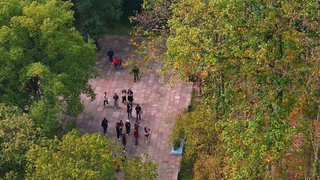 杭州桐庐：秋色渐染桐君山