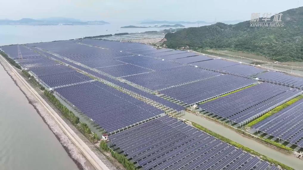 浙江舟山：“漁光互補”項目迎青蟹豐收