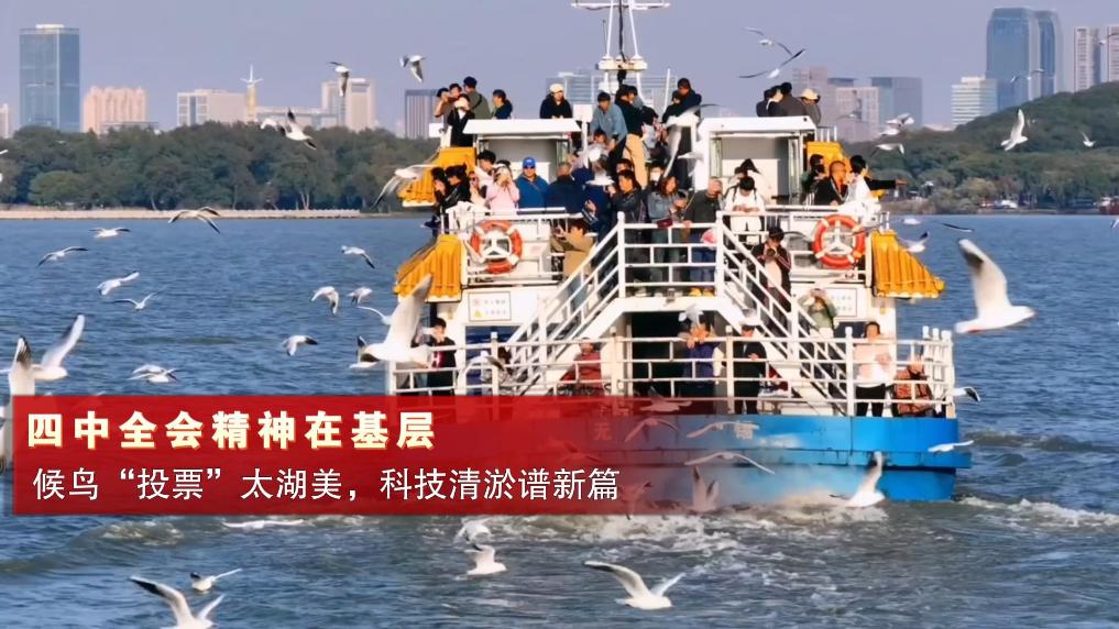 四中全會精神在基層｜候鳥“投票”太湖美，科技清淤譜新篇