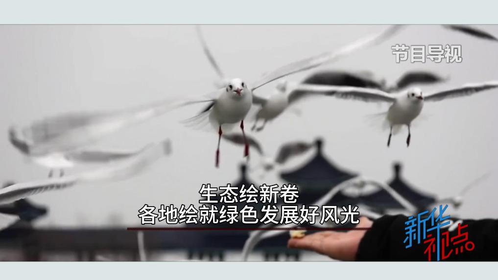 新華視點｜生態繪新卷 各地繪就綠色發展好風光