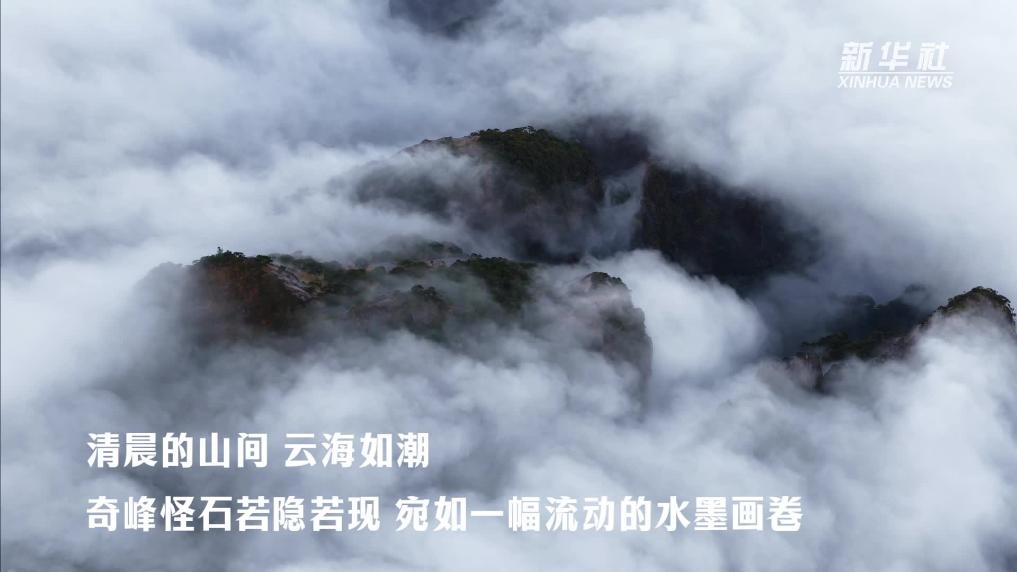 安徽黃山：雲濤卷翠 天地共成詩畫