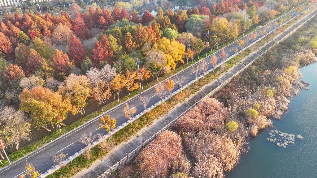 江苏东海：湿地公园冬景绚丽