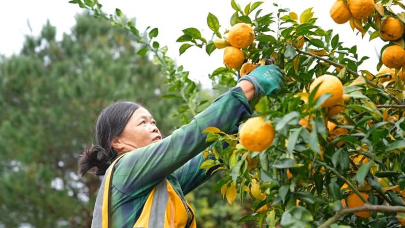 58d232d0c00f27d34ae61eedb6d9b929