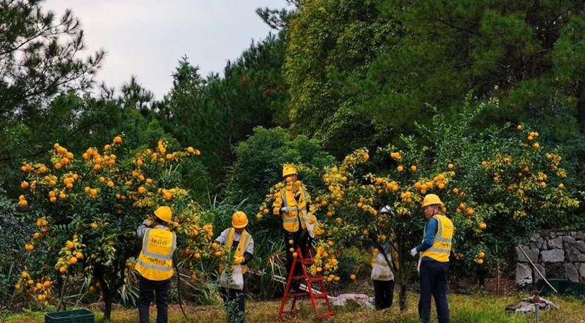 903db942a73dc620fa5f50fb3a8e814e