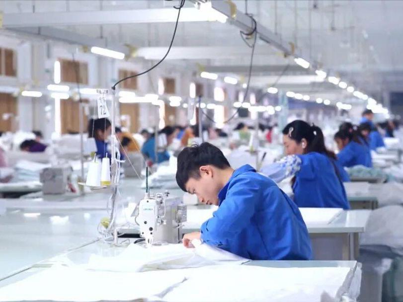 聚焦高质量发展｜安徽六安：“皖西白鹅”链动羽毛大产业