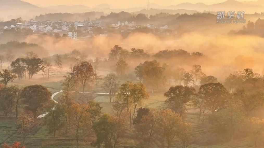 安徽休宁：水墨溪洲入画来