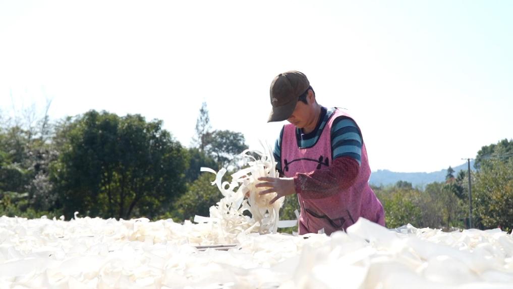 浙江湖州：百年古法粉丝串起乡村共富路