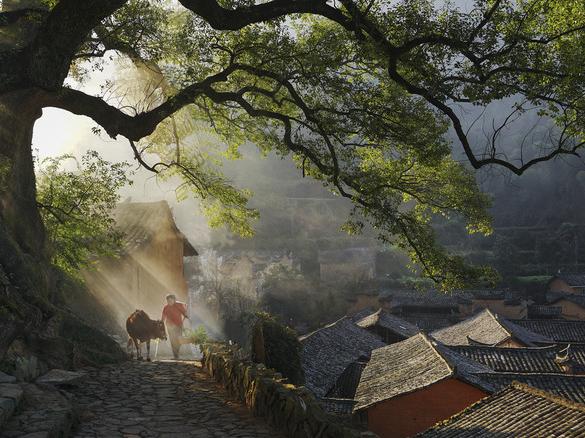 在丽水，看见诗画中国