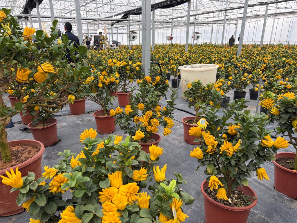 浙江发布一批缩小“三大差距”标志性成果