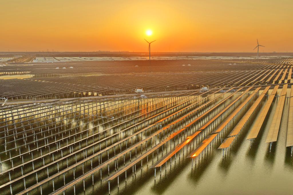 江苏如东：渔光互补 绿色低碳