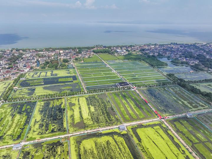 织密“联群网” 畅通“连心桥”——浙江湖州践行全过程人民民主的基层实践