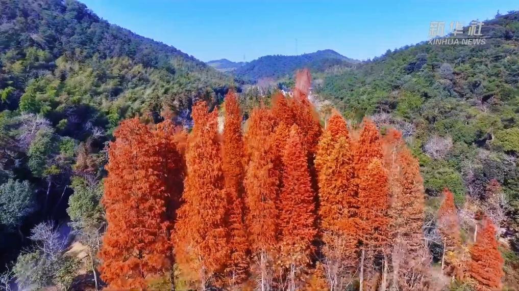 浙江长兴:畅游山水之间 尽享冬日美景