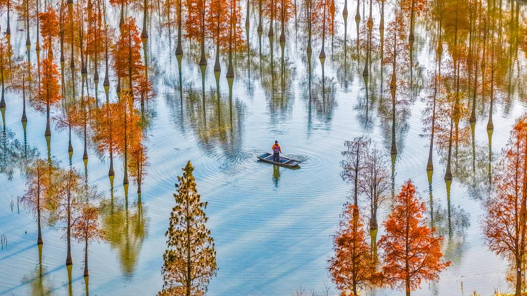 江苏泗洪：蟹塘管护 助力增产