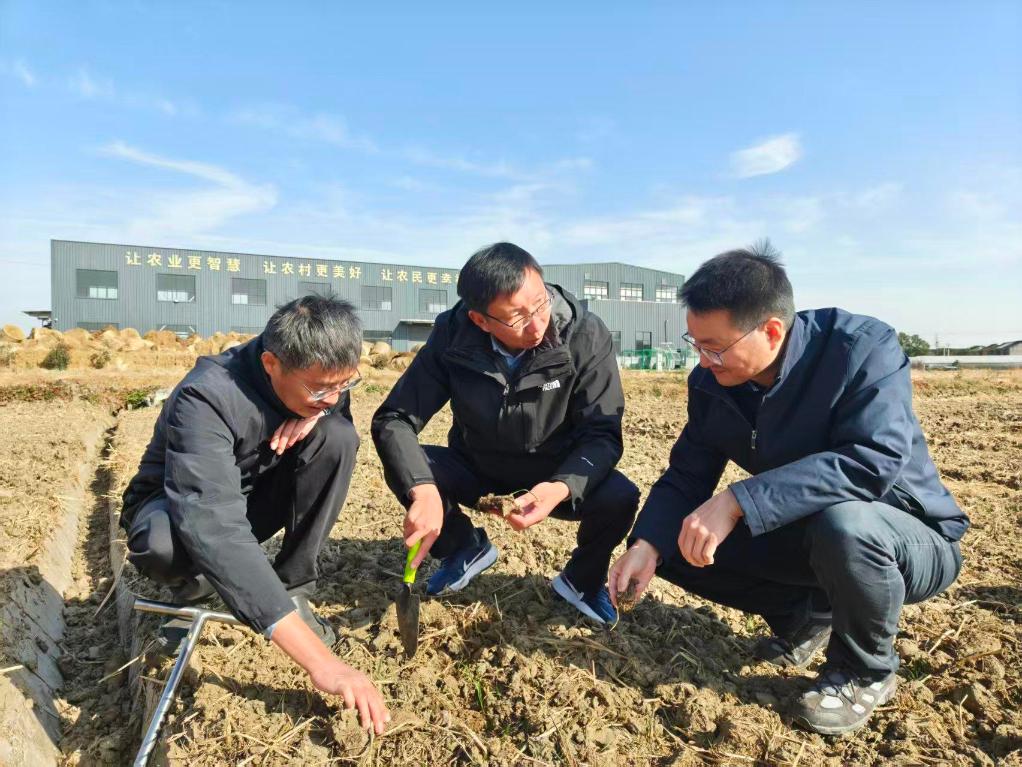 党旗在基层一线高高飘扬｜守望沃野 功成丰年——记江苏省农业农村厅种植业管理处党支部