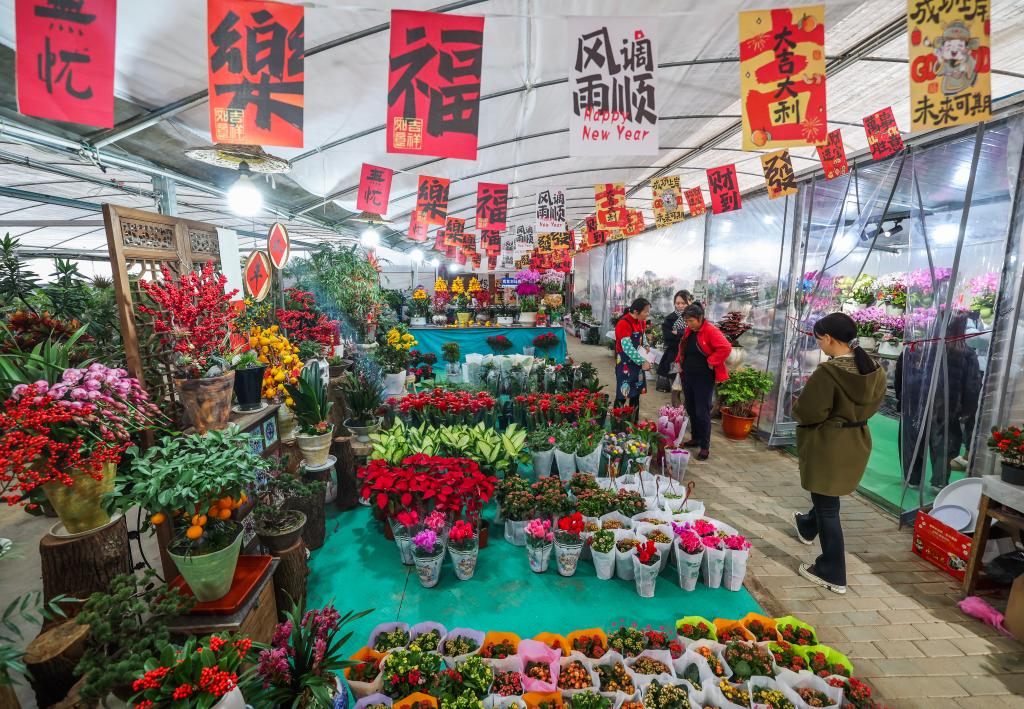 浙江绍兴：年宵花卉迎新年