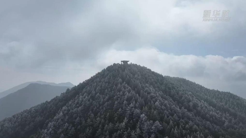 浙江文成：冬日凝霜华 雾凇扮群山