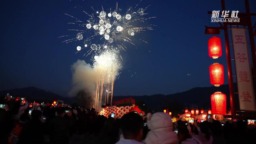 与“鱼”同舞 共赴新年