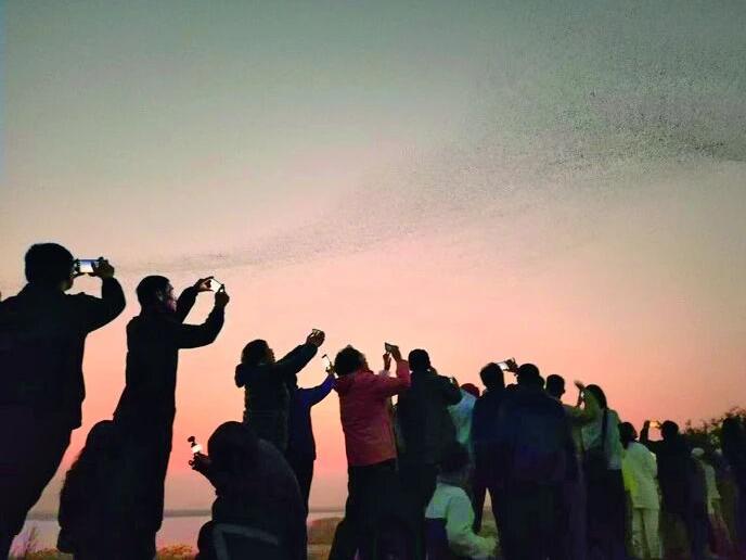 无人机贴鸟拍摄当禁！