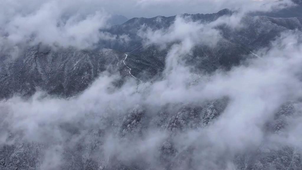 杭州临安天目山：雾凇云海扮靓冬日山林